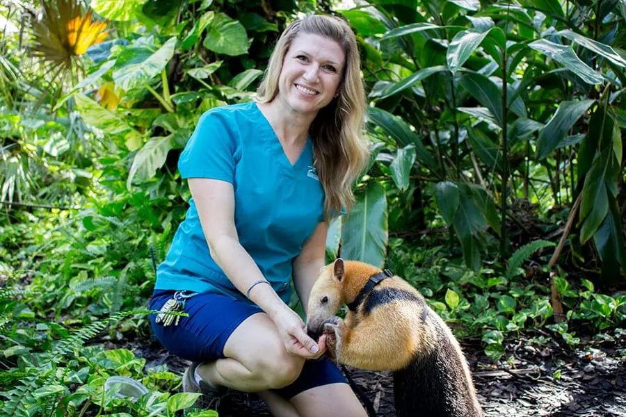 Kristi with Corduroy the tamandua