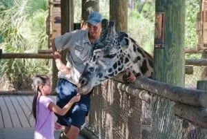 girl feeding rafiki