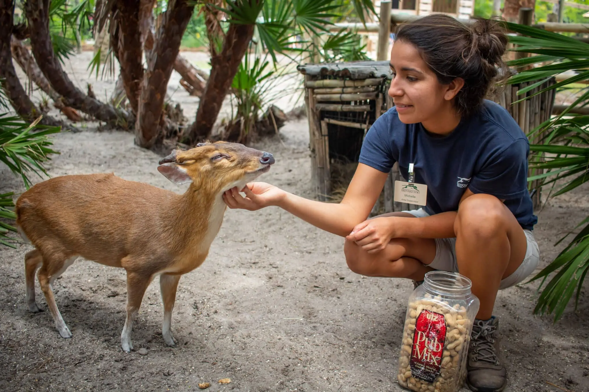 Keeper with muntjac