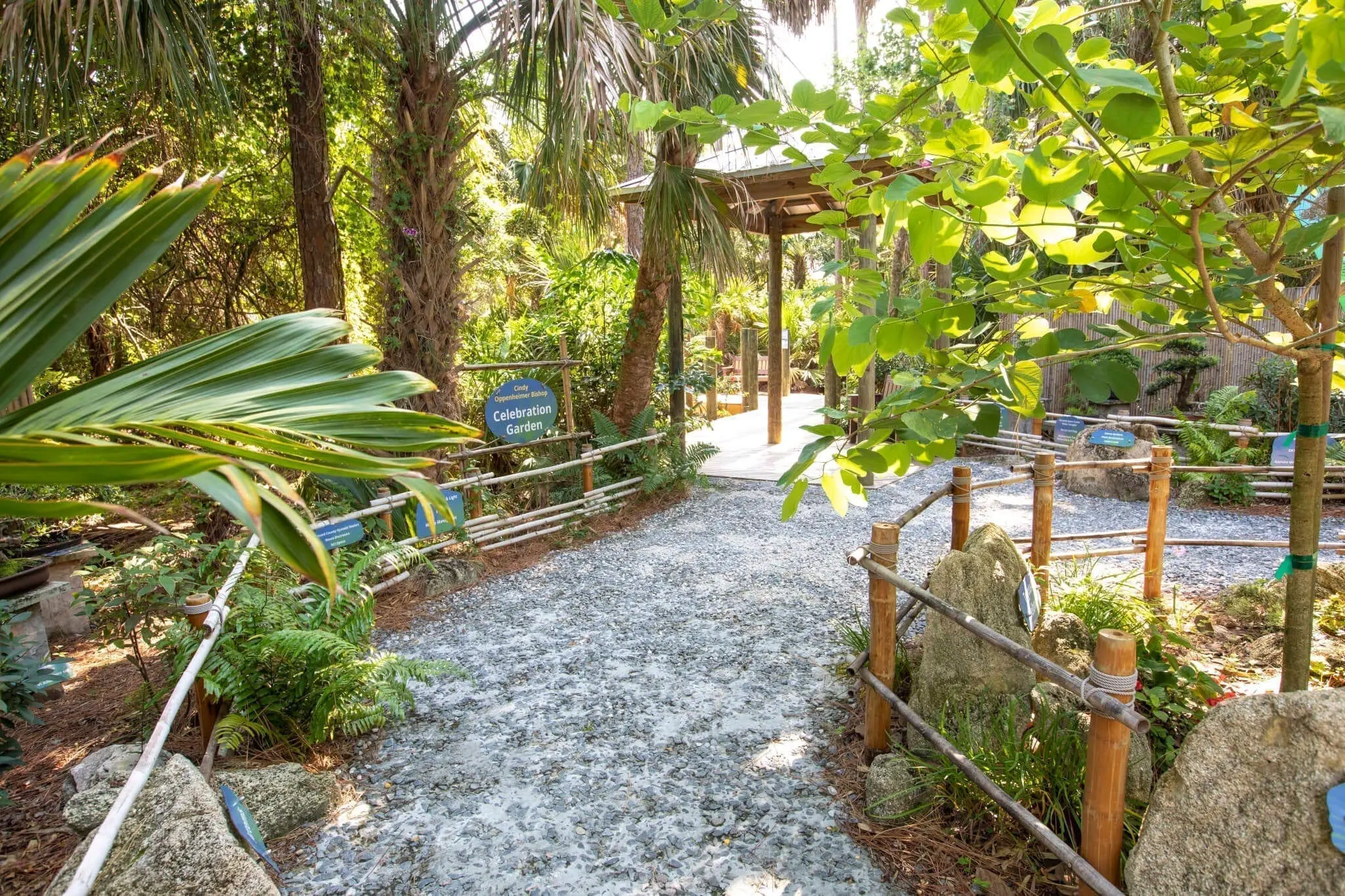 Celebrationgarden