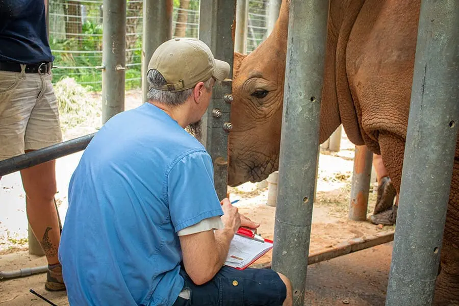 Kibibi exam