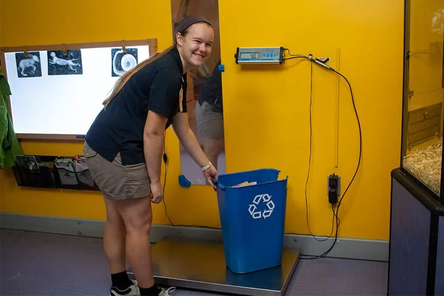 Zoo staff weighs recycling