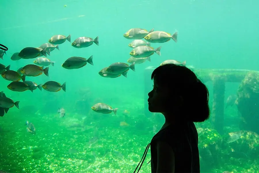 Girl and fish