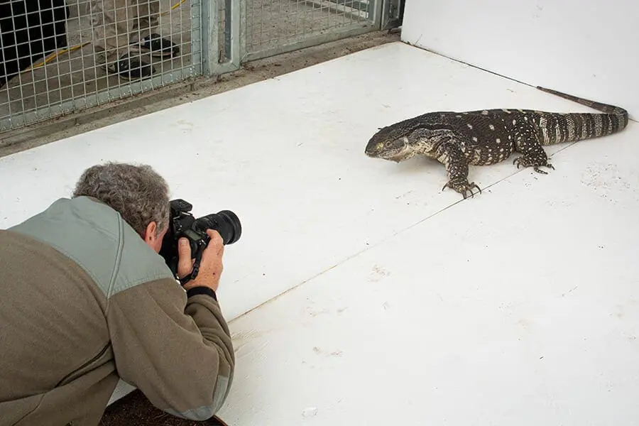 Joel Sartore with monitor