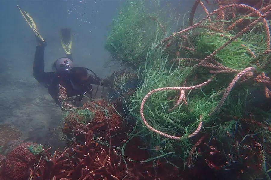 Diver removing FAD from reef