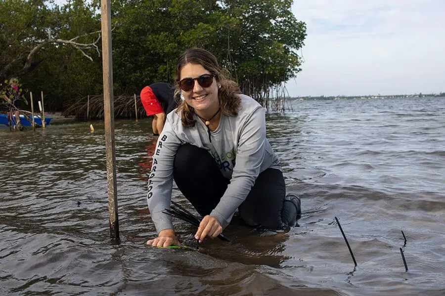 ROS staff building oyster reef