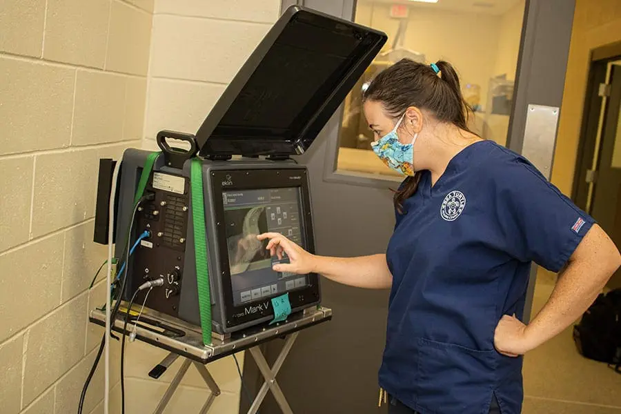 radiograph review