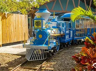 Blue train