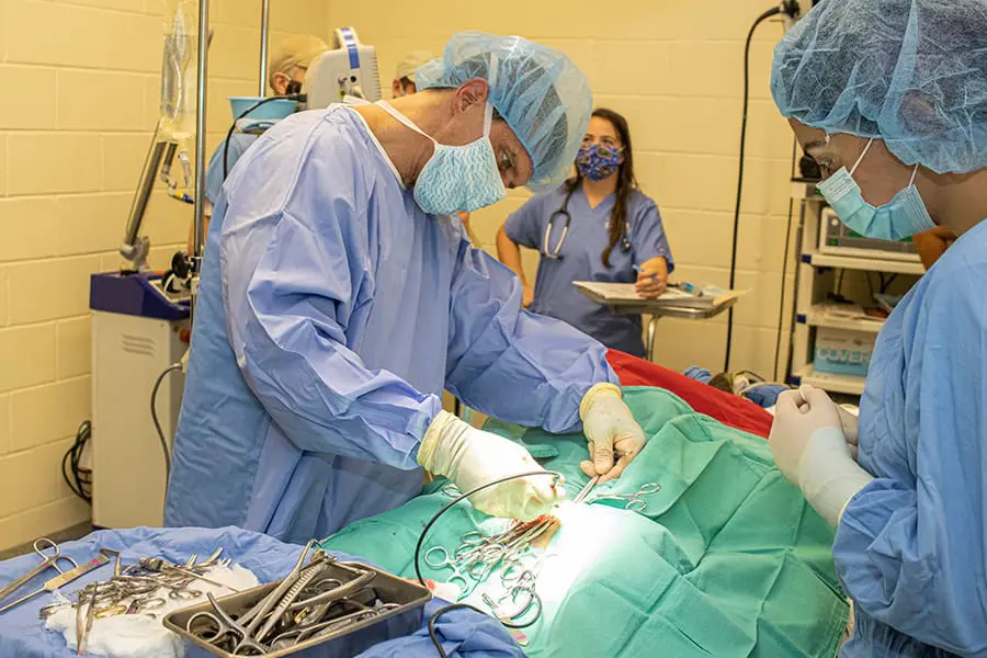 Brody surgery