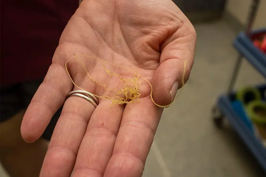 Derelict fishing line that was found on Riptide