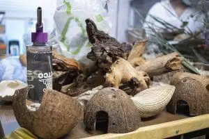 A table full of mouse homes, shells and logs.