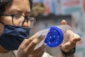A woman looks at a Perdido Key beach mouse in a jar.