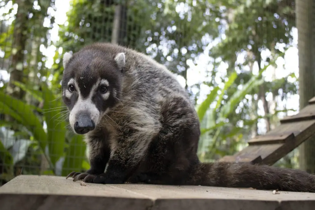 Katie Coati sits on one of her platforms.