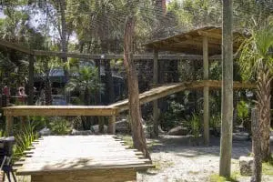 A large platform in the temporary lion habitat in Wild Florida