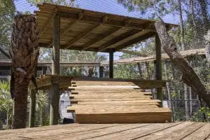 A large platform in the temporary lion habitat in Wild Florida