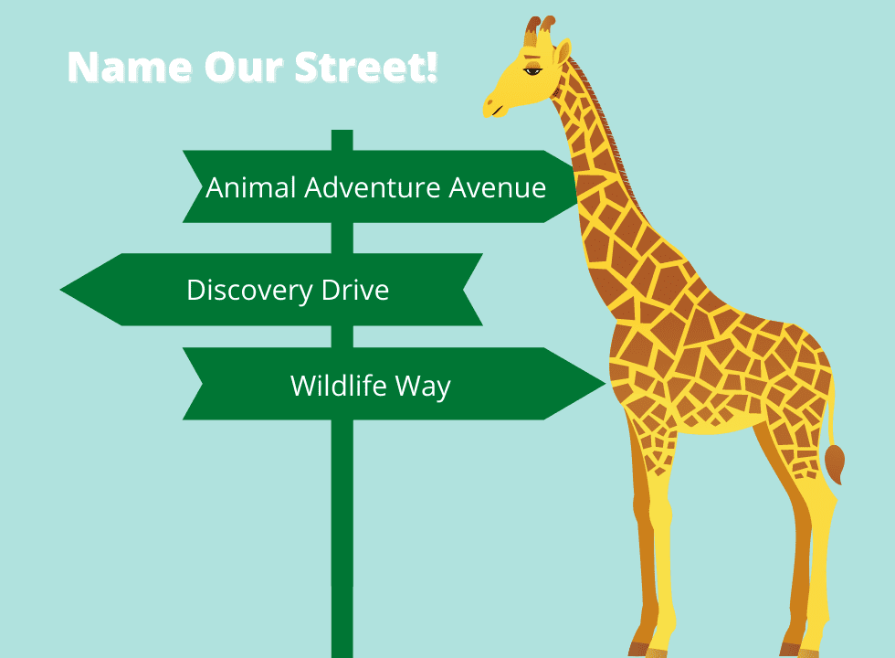 A graphic image of three signs with new Zoo names along with a giraffe.