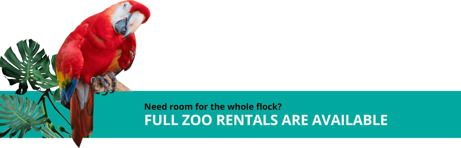 Full Zoo Banner
