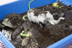 Muddy plastic animals lie in a bin.