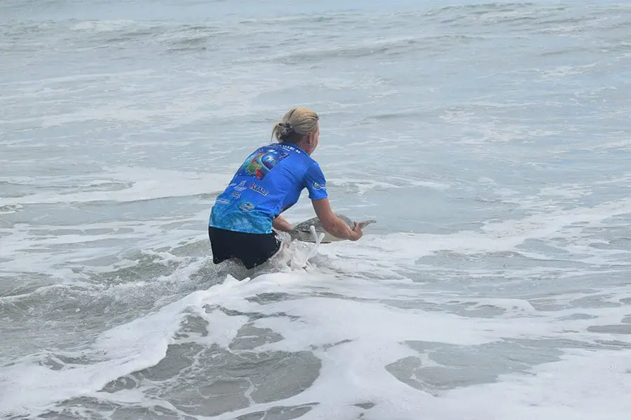 STPS volunteer releasing Robin