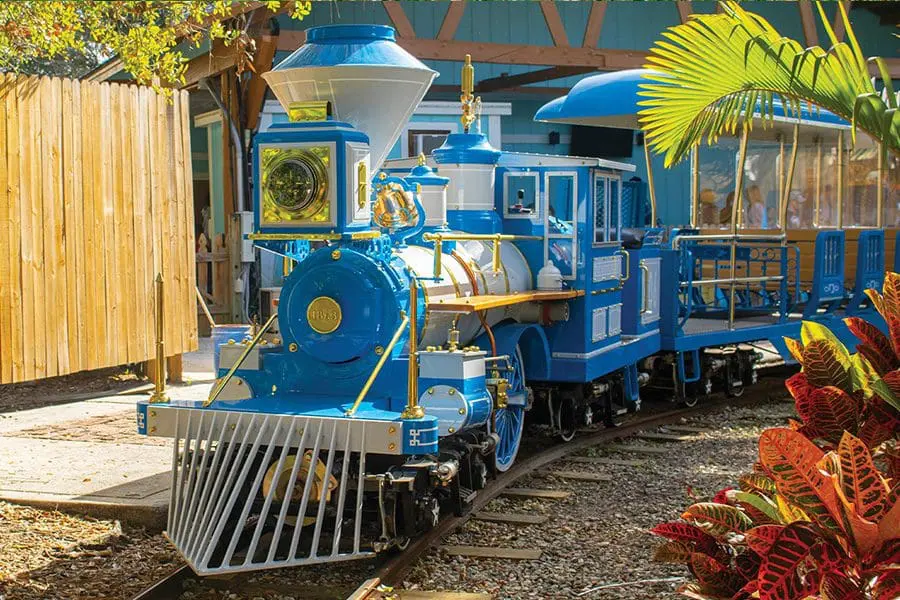 Zoo Train