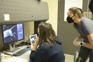 Two veterinarians look at an x-ray image.
