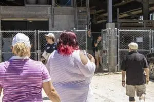 Guests approach the Africa Barn at Brevard Zoo