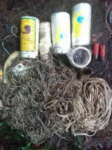 Snares used for catching wild animals