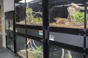 Animal habitats in the Wildlife Discovery Hub