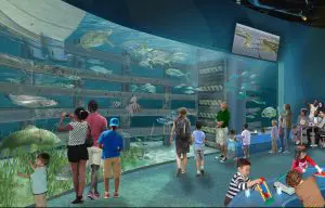 Illustrated rendering of people see marine life swimming in the locks system from Port Canaveral