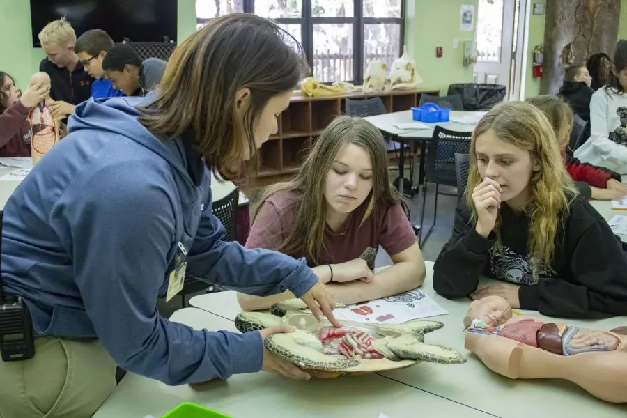 Two students watch as a Brevard Zoo teacher shows off a life-sized anatomical sea turtle.