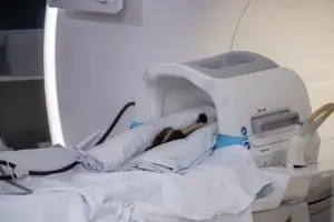 A white-nosed coati in an MRI