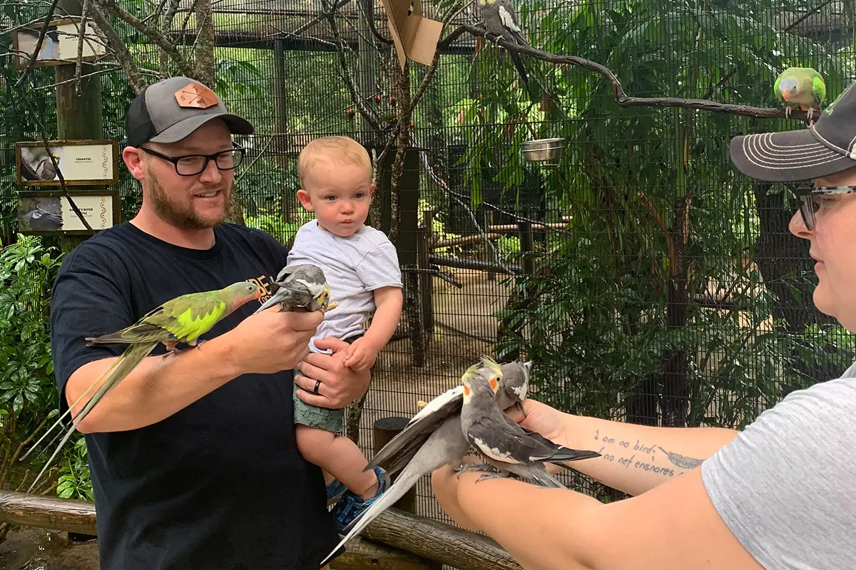 man and woman feeding lorikeets while the man holds a young child as well