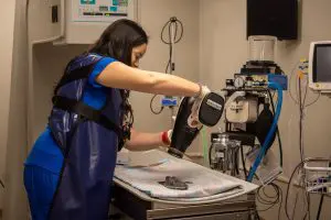 a woman scans a sea turtle for an x-ray