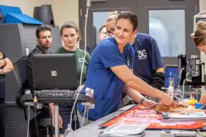 A woman performs an ultrasound on a meerkat.