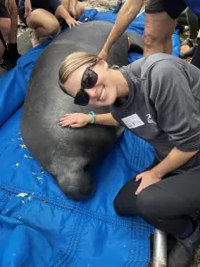 A woman leans down and poses for a photo touching a manatee.