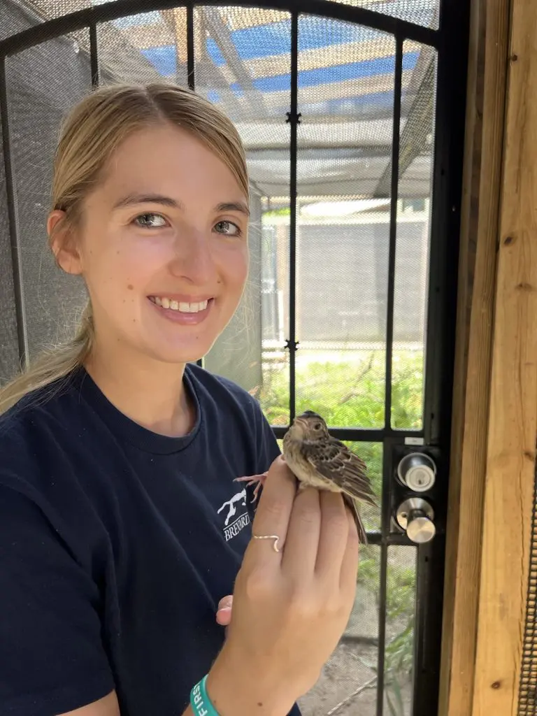 A woman smiles while holding a Florida grasshopper sparrow.