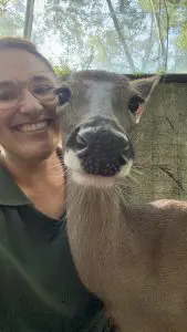 A woman poses for a selfie with a deer.
