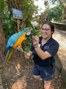 A woman feeds a bird while holding the bird on a perch.