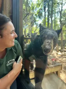 A woman beams at a bear through glass at a zoo.