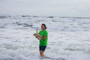 A woman wearing a green t-shirt holds a sea turtle in the ocean.