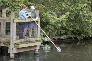 A zookeeper guides a guest through an American alligator encounter experience.