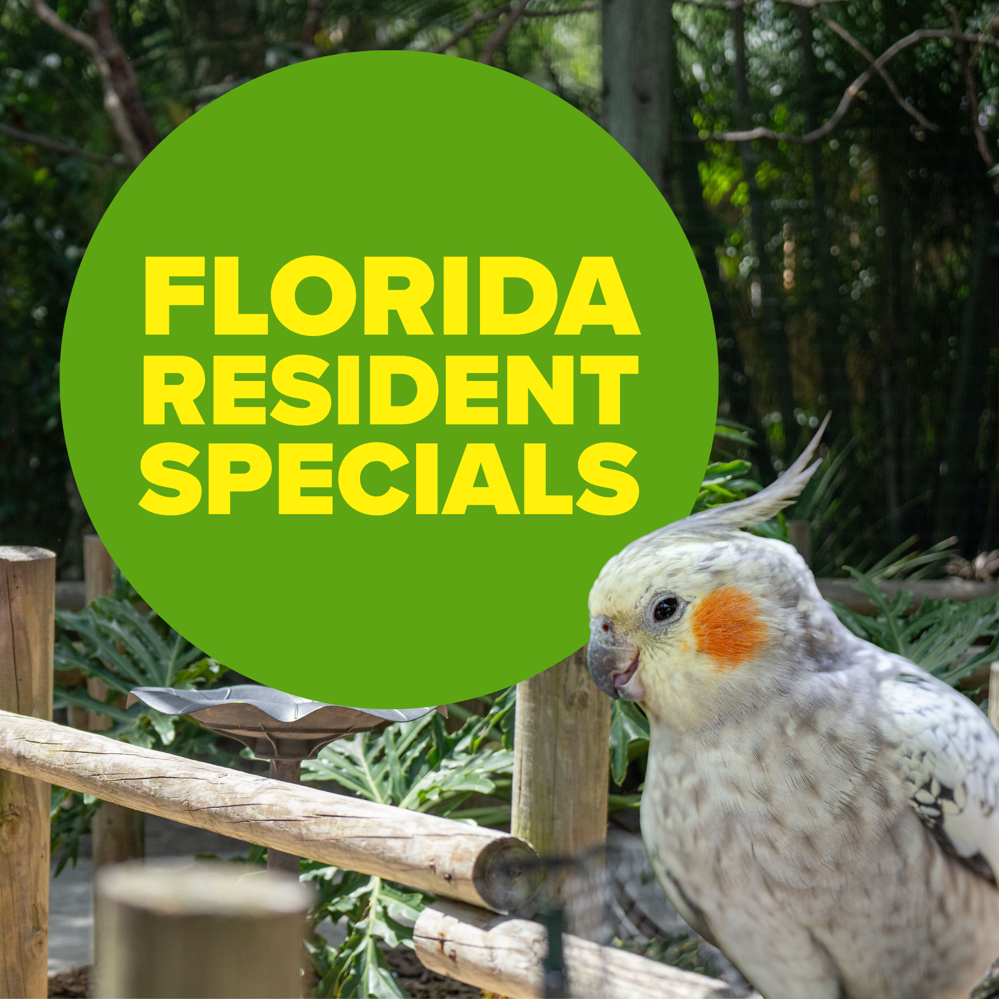 Florida Resident Specials-3