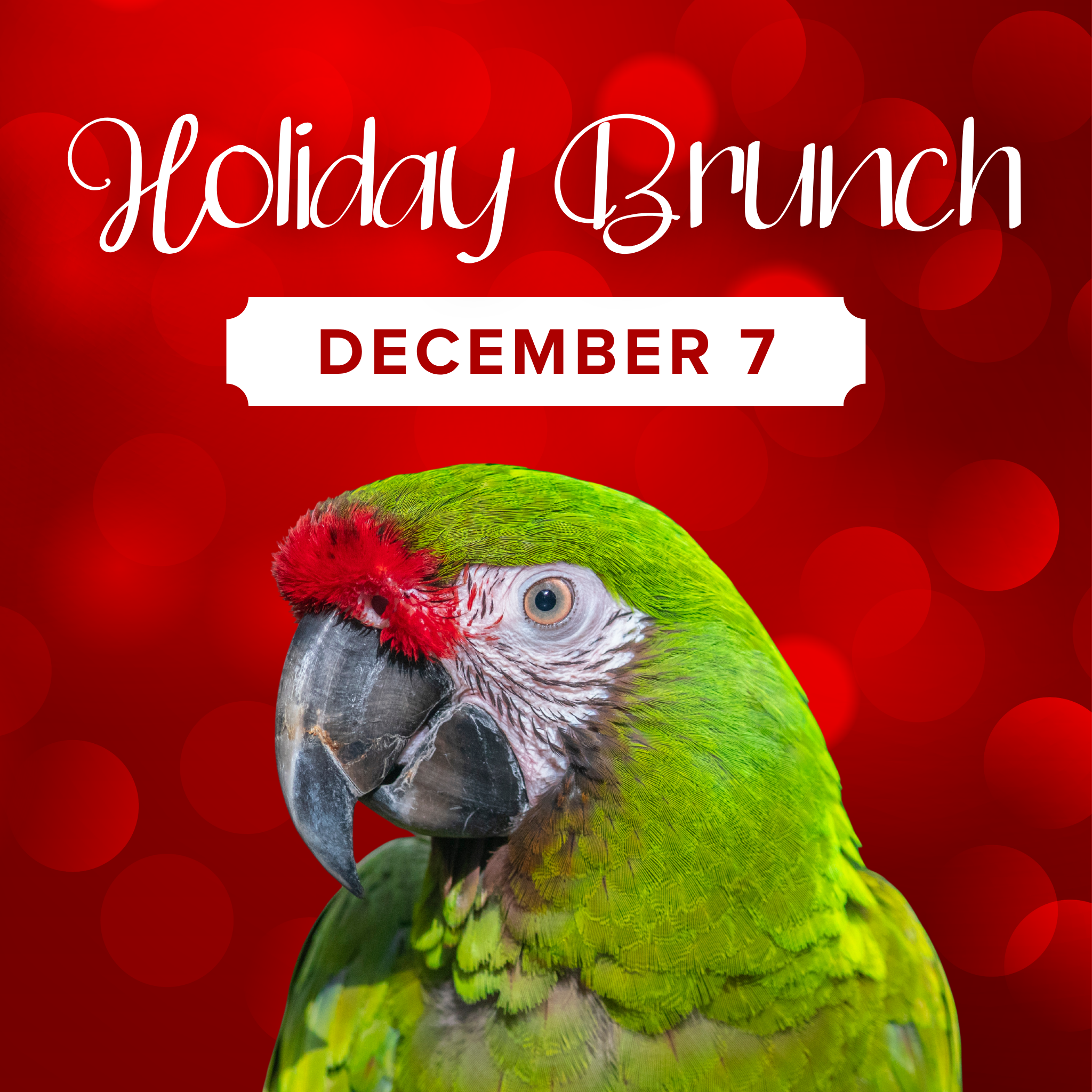 Holiday Brunch Web-2