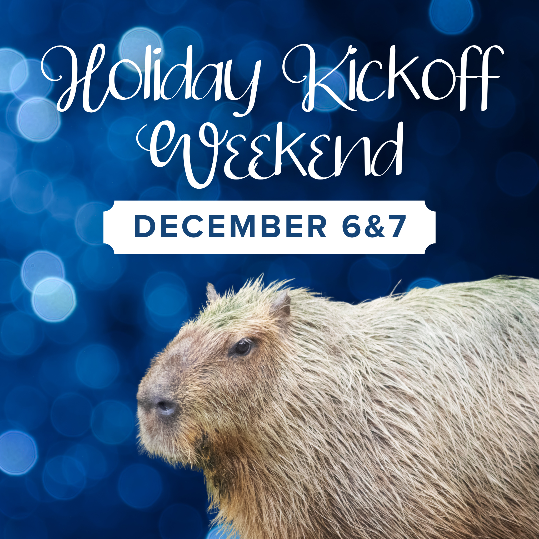 Holiday Happenings-4