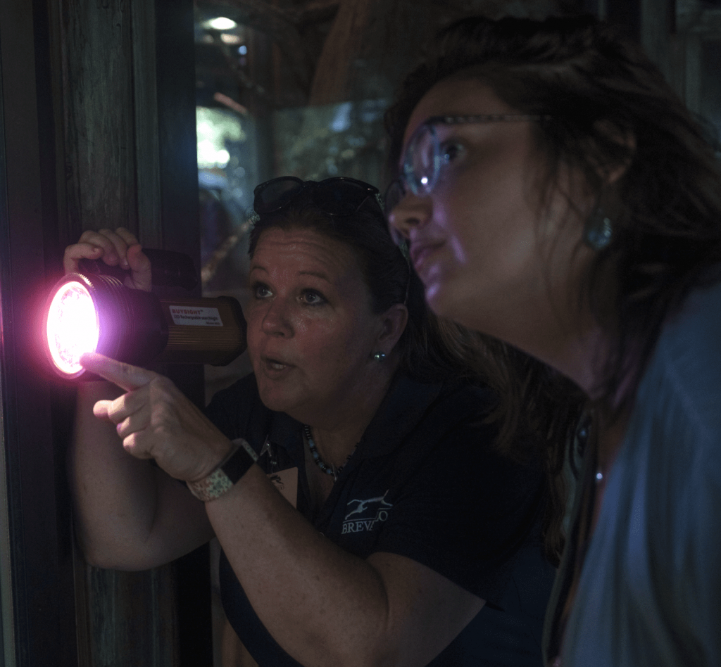photo of visitors with flashlight looking at animals