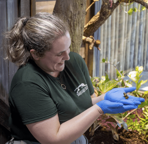 Photo of Zoo employee