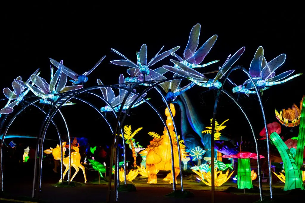 LuminoCity_Dino_Ancient_4-1