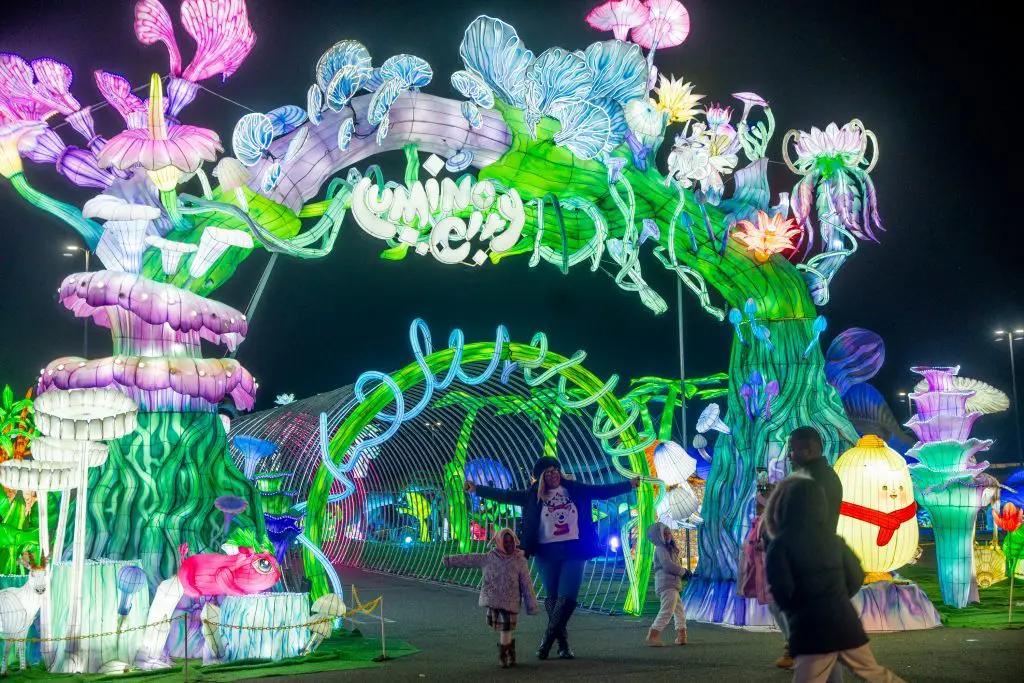 LuminoCity_Nature_Mushroom 3-4