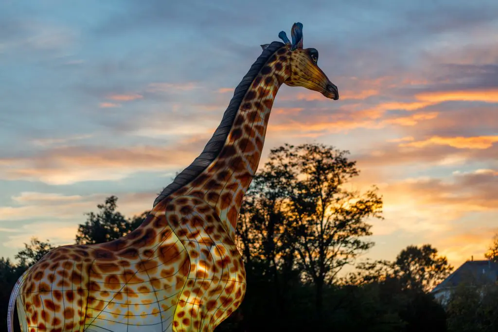 LuminoCity_Nature_Zoofari 12-1