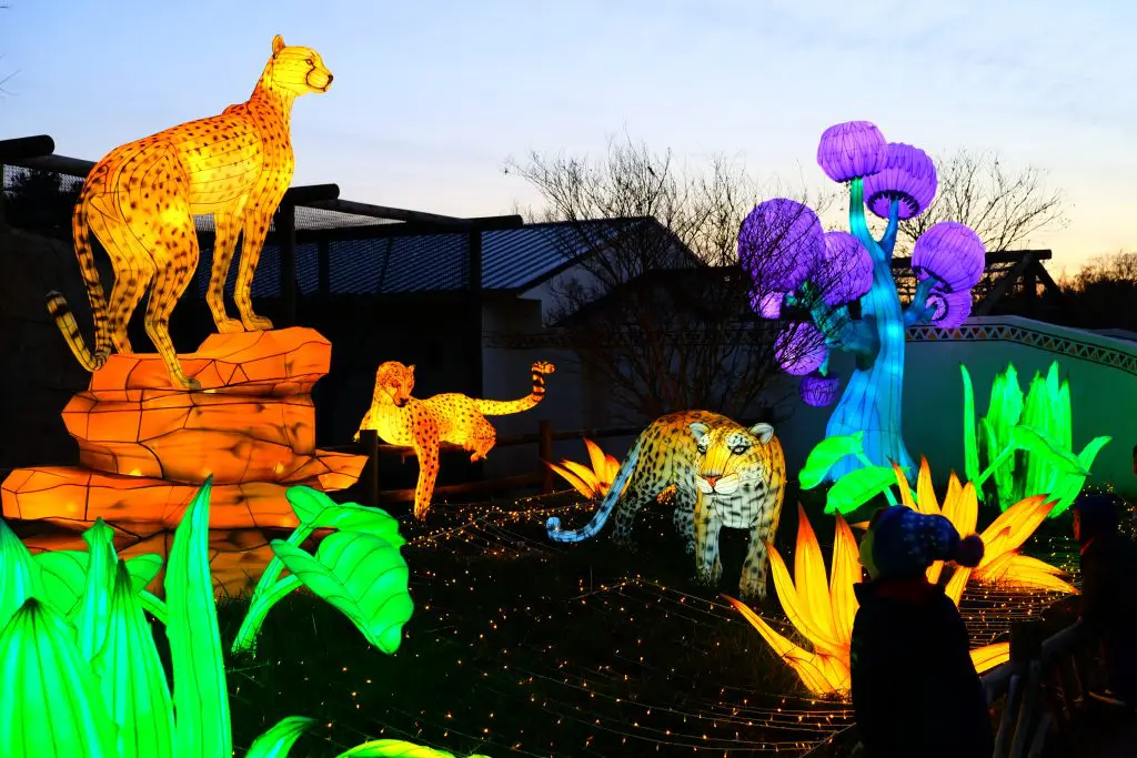 LuminoCity_Nature_Zoofari 2-1